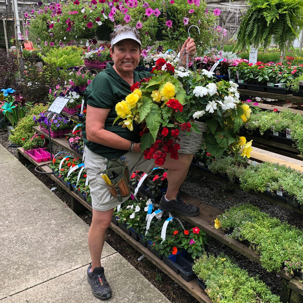 woman holding plants for hanging woman holding plants for hanging