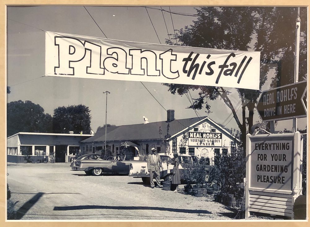 Plant this fall banner