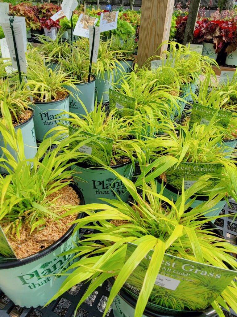 nursery3